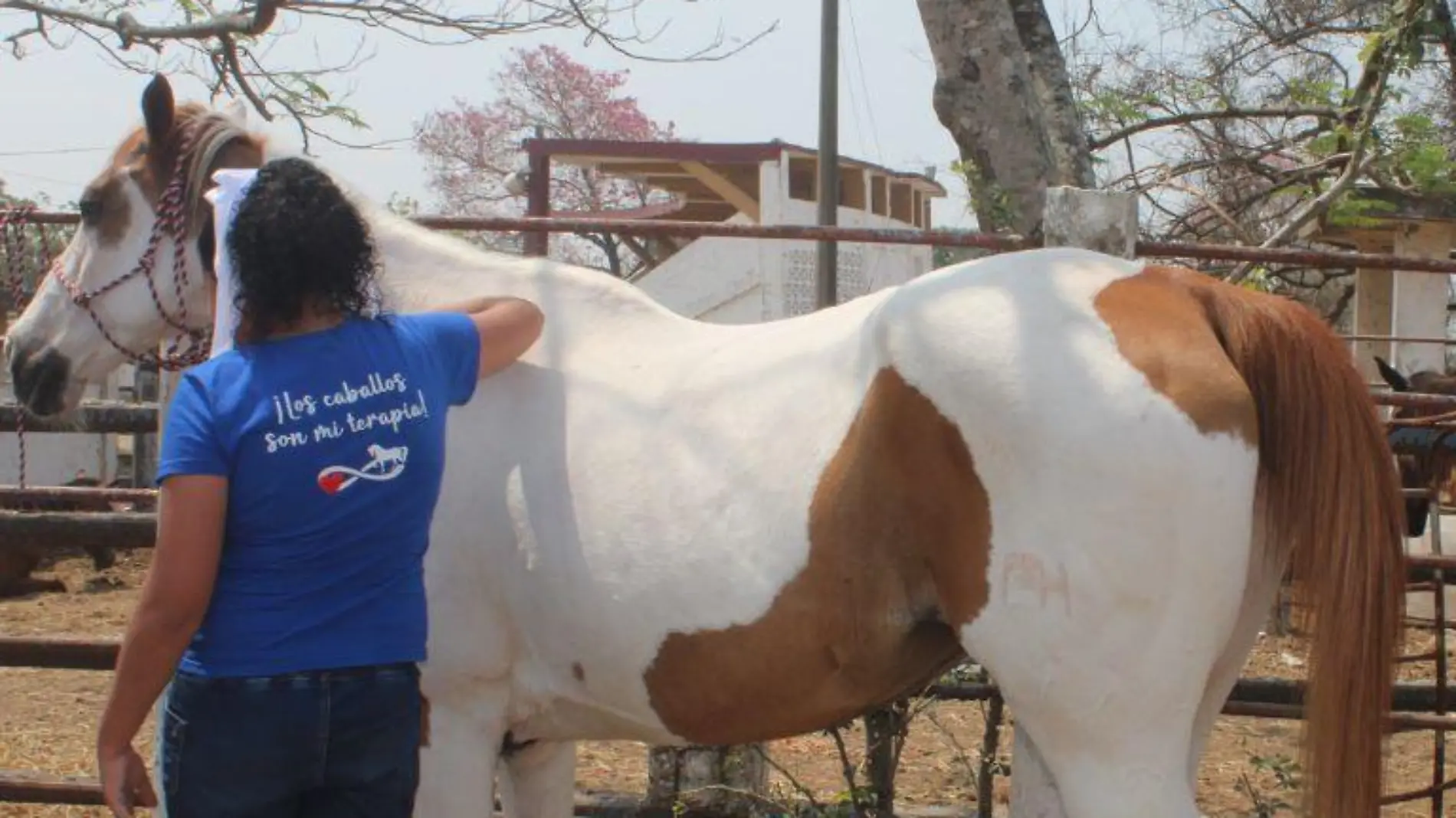 Equinoterapia: una alternativa de rehabilitación que cambia vidas en Altamira 